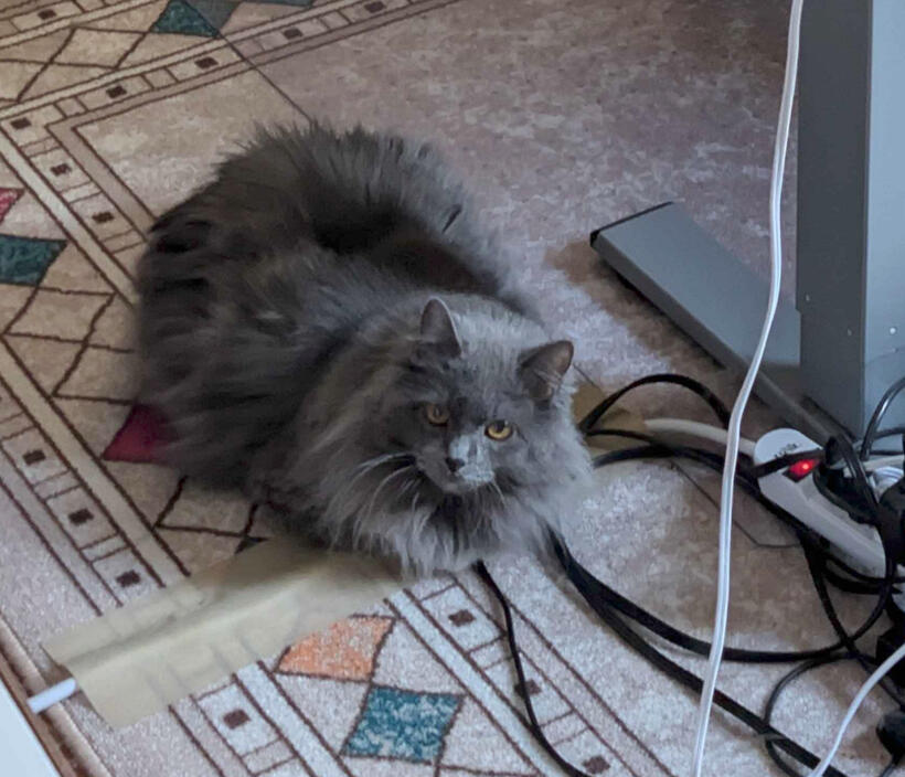 Poofy Desk